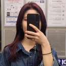 페이브헤어 - 제주시 | 페이브헤어