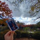 중국어(중급) | 🍂 경주 불국사 단풍 구경 다녀온 후기 🍁
