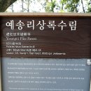 노화전통시장 이미지