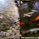 아이피아 이미지