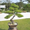 화천초등학교 이미지