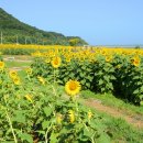 교동면 난정저수지 이미지