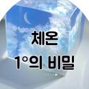 오오점핑 이미지