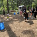 숲 체험 리틀 포레스트 이미지