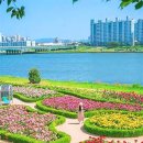 형산강 티스토리