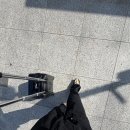 개인택시 영양군지부 | 대전 빵택시 [빵티칸순례] 빵버스 투어 예약 오후코스 장단점 솔직후기