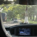 터틀짐(Turtle Gym) | 발리 여행 일지 7 - 길리 트라왕안, 거북이 스노쿨링, 터틀포인트, 길리맛집 New Gili Frame Resto and Bar