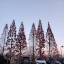 제비당구장 이미지