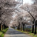 비슬로63길 이미지