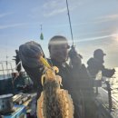 선수입장 이미지