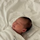 연나무치과의원 이미지