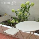 부산 대연동 맛집 카페이정원 주차 영업시간 정보