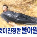 등대비치 이미지