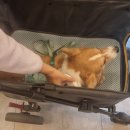 뉴에스동물병원 이미지