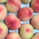 다원농장 이미지