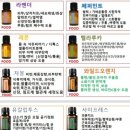 라인요가필라테스 - 북구 하서로 421 | 라인요가필라테스