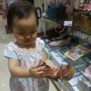 백양루시드 이미지