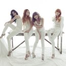 시크릿 카카오 검색결과