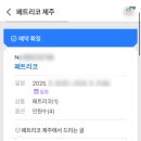 페트리코 제주 이미지