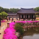 죽마루농장 | 충북 옥천 가볼만한곳 육영수생가