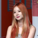 솔지카페 이미지