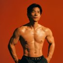 브이아이핏 이미지