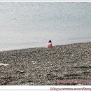 해마루민박 이미지