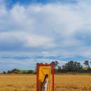 신현동 산147-3 | 아기랑 가을에 가볼만한곳 총정리｜단풍명소 7곳 (화담숲 스멜츠 뮤지엄산 외)