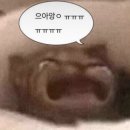 히든테이블 네이버블로그