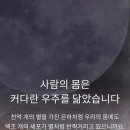 인셀덤백조 네이버블로그