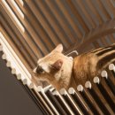 MODERN CAT 네이버블로그
