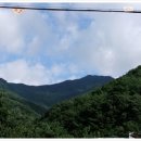 광산골식당 Daum카페