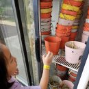 영소목장 이미지