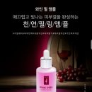 쉼필 네이버블로그