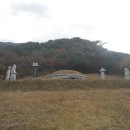 서창 소나무 이미지