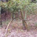 the H motors 이미지