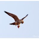 숟가락젓가락 이미지