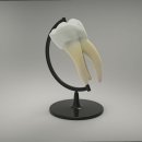 백상치과의원 이미지