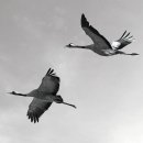 전주대학교 경영대학원 이미지