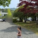 경남관광안내소(도청) | 🎪 창원 어린이날 행사 후기 | 23개월 아기랑 경남도청 나들이