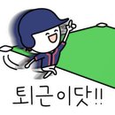 mr.플래카드 이미지