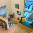 나무늘보,요정 이미지