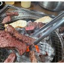 서해쭈꾸미 이미지