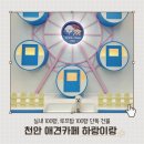 하랑이랑 애견카페 이미지