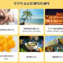 낭만여행 이미지