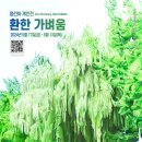 갤러리0℃0도씨연희동 이미지