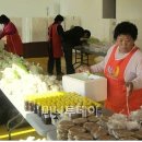 완주로컬푸드영농조합법인 건강한밥상 이미지