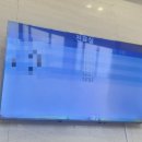 스타이비인후과의원 이미지