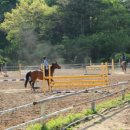 통도승마랜드 이미지