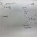 장백국제여행사